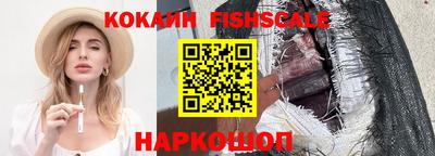 дмт Кингисепп