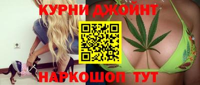 дмт Кингисепп