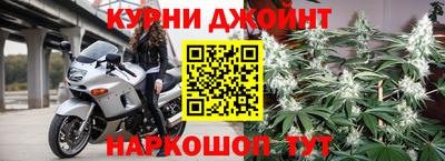 дмт Кингисепп