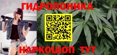 прущая мука Кимры
