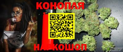 дмт Кингисепп