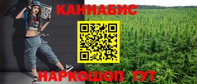 дмт Кингисепп