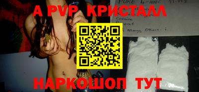 дмт Кингисепп