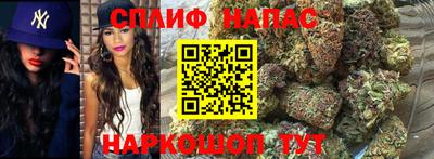 дмт Кингисепп