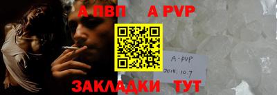 дмт Кингисепп