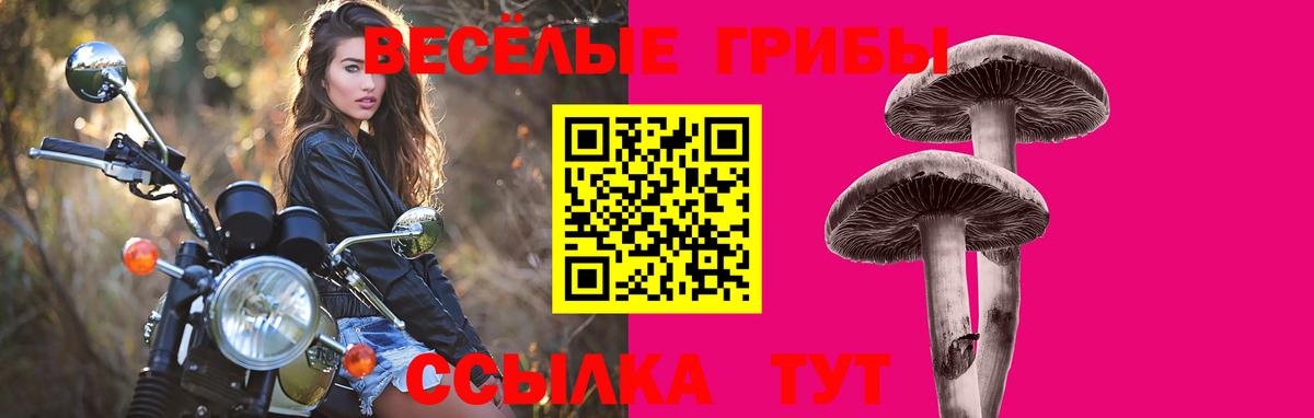 Электрогорск  Псилоцибиновые грибы Cubensis  Вход с VPN 