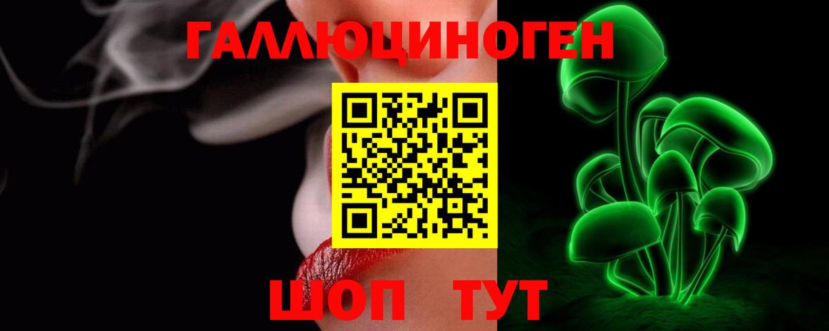 Псилоцибиновые грибы Psilocybe Электрогорск